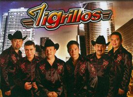 gruperreando_np-tigrillos