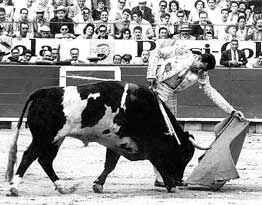 Don Manuel Capetillo Don Manuel Capetillo
