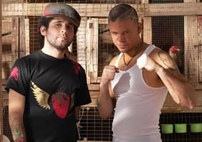 Calle 13