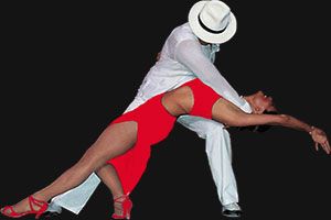 Congreso de Salsa Congreso de Salsa