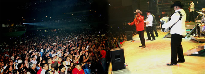 cardenales-pesado_baja