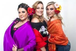 imagesCAG10R85 imagesCAG10R85