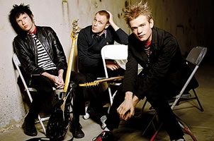 13445_sum411