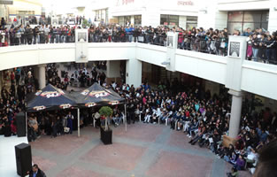 firma_jaguar3