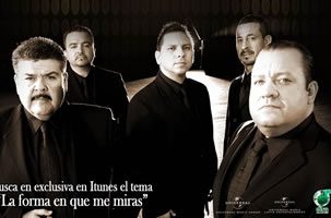 imagte0011