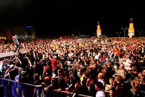 IMG_0533 IMG_0533