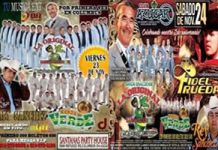 Untitled-1_copy_copy_copy_copy_copy_copy