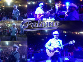 presentaciones_palomo