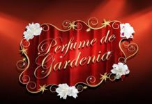 ESPECTACULAR ESTRENO MARJORIE DE SOUSA EN PERFUME DE GARDENIA ImageProxy_copy_copy_copy_copy_copy