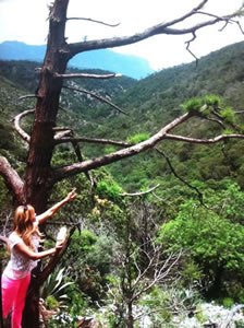IMG-20130702-WA001