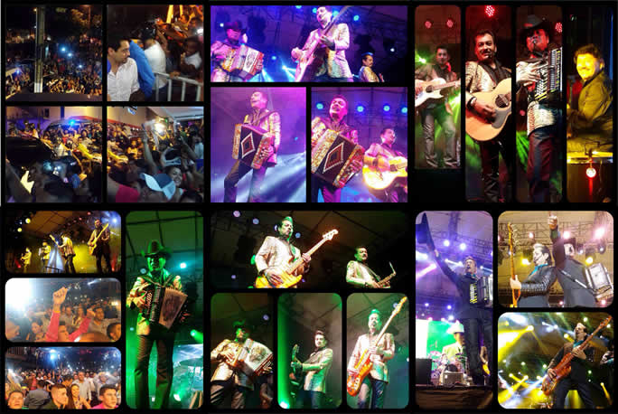 FOTO_TIGRES_colombia_collage