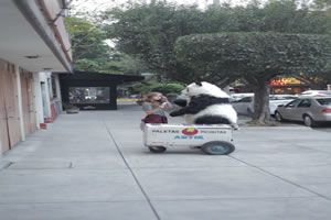 Untitled-2_copy_copy_copy Untitled-2_copy_copy_copy