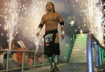 hijo del perro aguayo