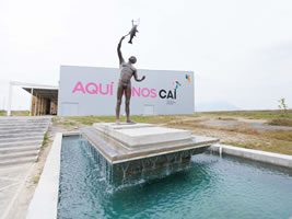 CAI 01 CAI 01