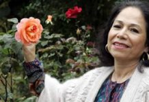 india maria mexico 2yjq1r40yrkfuylpd95de2 jpg 1647311013
