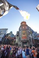 04 Diagon Alley Grand Opening 04 Diagon Alley Grand Opening