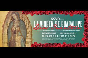 virgen20banner2011 virgen20banner2011