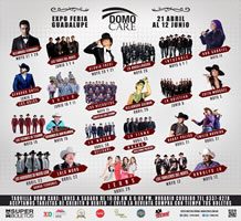 ID8567327 o ID8567327 o