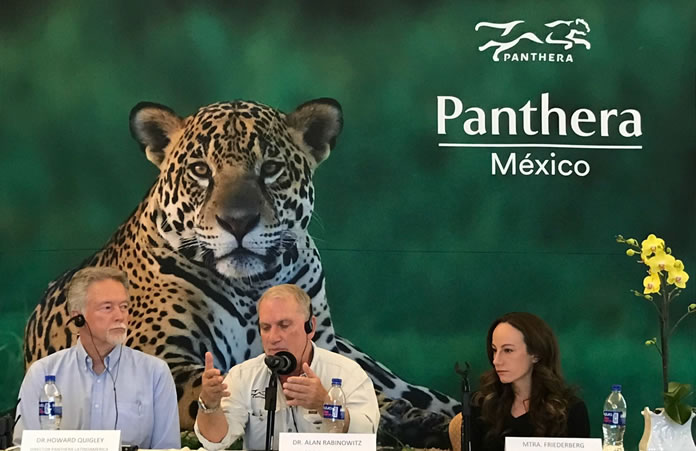 PANTHERA- FOTO- C-696x451