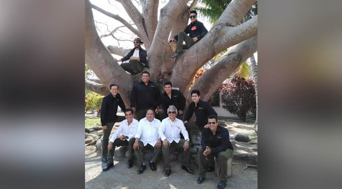 Los-Zemvers