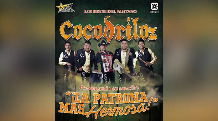 COCODRILOZ
