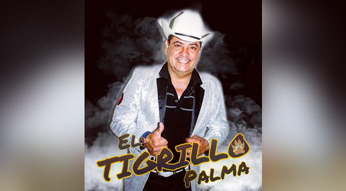 el_tigrillo_palma