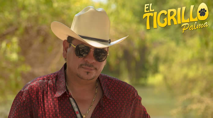 el_tigrillo_palma