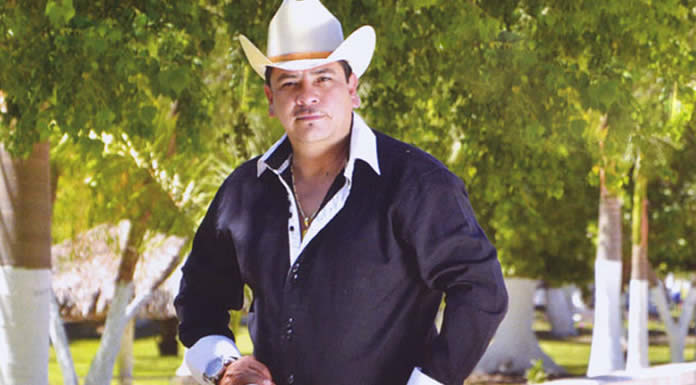el_tigrillo_palma