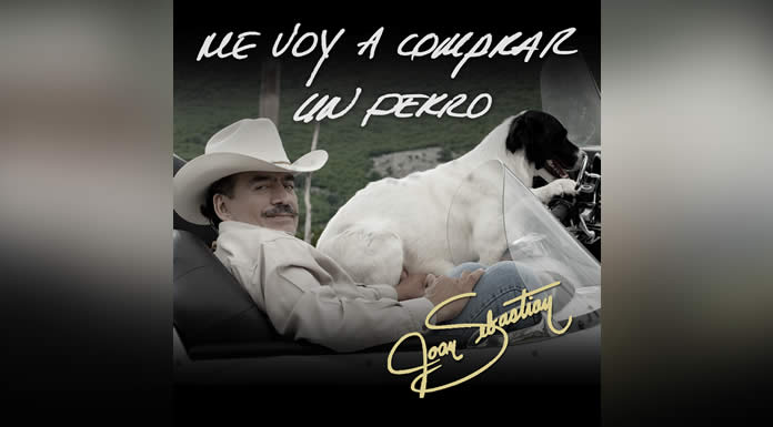 PORTADA ME VOY A CfOMPRAR UN PERRO