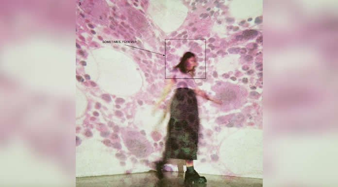 SOCCER MOMMY revela SOMETIMES, FOREVER su nuevo álbum de larga duración