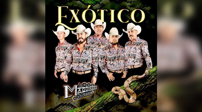 LA MAQUINARIA NORTEÑA se vuelven “EXÓTICOS”