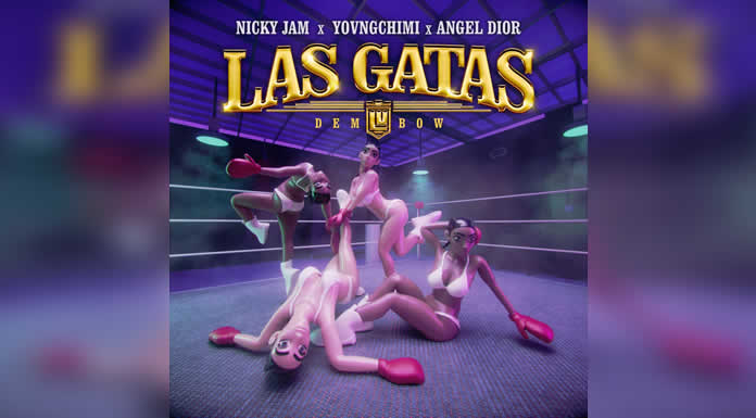 LAS GATAS el nuevo hit explosivo de NICKY JAM, YOVNGCHIMI y ANGEL DIOR @lachicuela