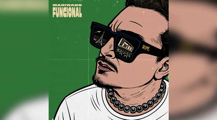 RICARDO PÉREZ(LA COTORRIZA) estrena “MARIWANO FUNCIONAL” una nueva etapa musical